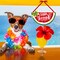 2 Pieces Watermelon Hanging Sign Summer Watermelon Hanging Door Sign Decor for Happy Summer Front Door Wreath Home Wall Decor with Rope